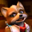 Fox Fox
