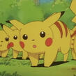 Pikachu Pikachu